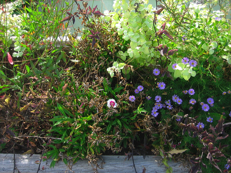 img_0444.jpg